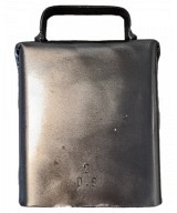 Klicken für Detailansicht Dominik Brun Treicheln