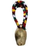 Appenzeller Treichel 5 mit Geschenkeri..