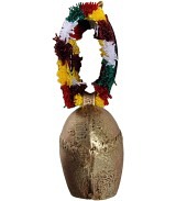 Appenzeller Treichel 2b mit Geschenker..